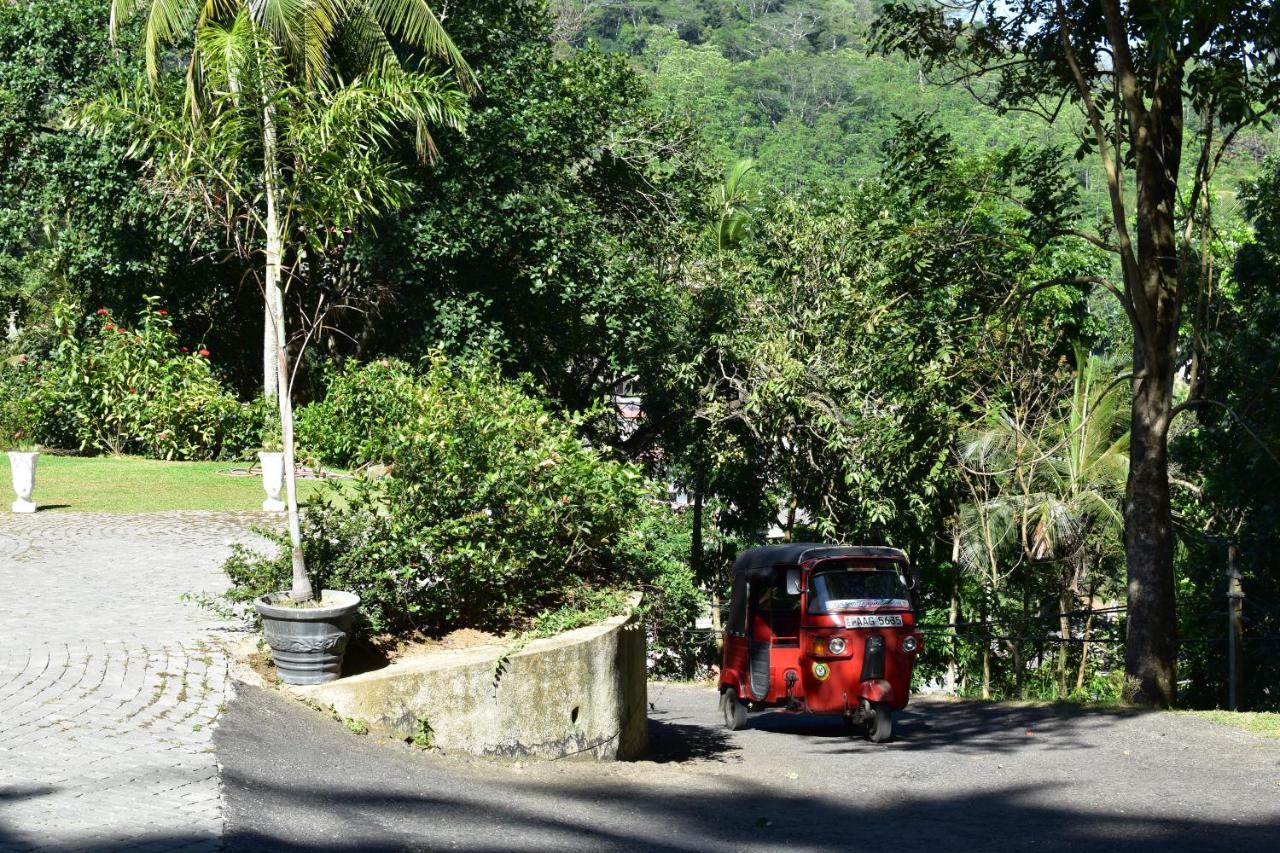 Notting Hill Country House Tennekumbura Bagian luar foto