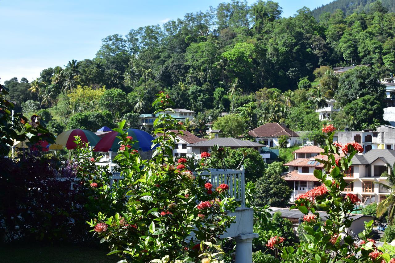 Notting Hill Country House Tennekumbura Bagian luar foto